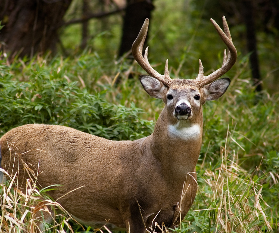 uncharted-outdoorswomen-creating-space-for-women-in-the-outdoors